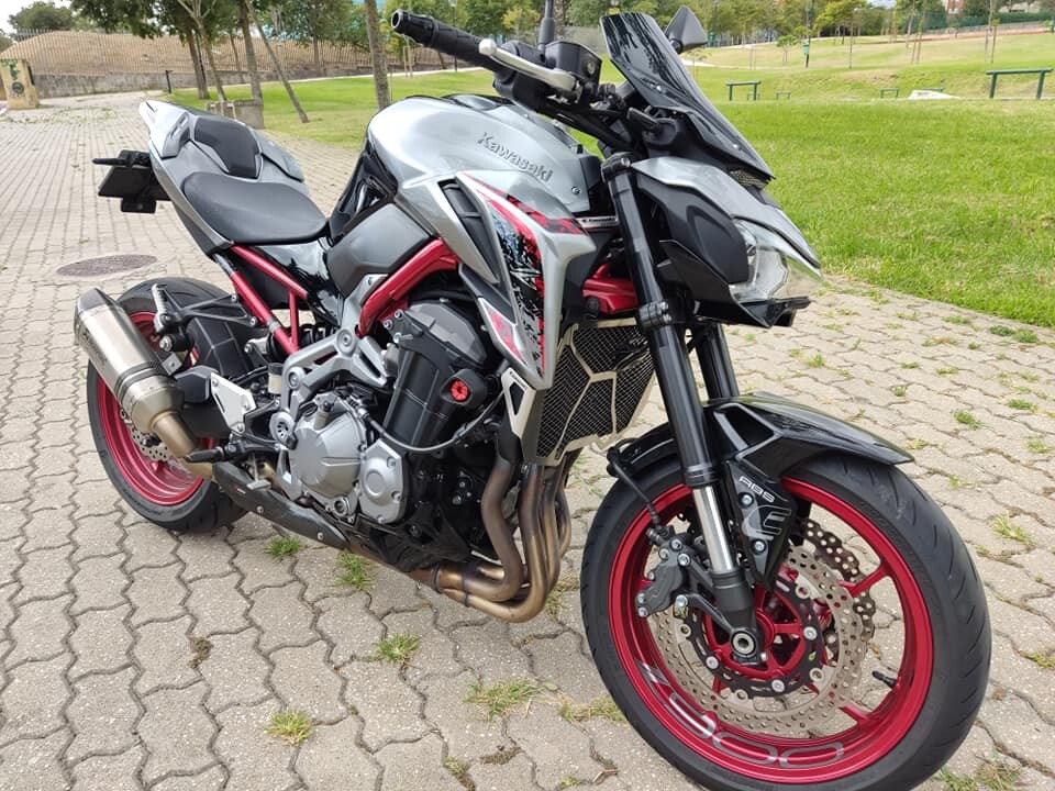 2019 kawasaki 110